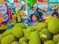 Sắp diễn ra Lễ hội Trái cây Nam bộ 2023