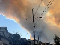 Canada: Cháy rừng nghiêm trọng ở Halifax, hàng nghìn hộ gia đình phải sơ tán