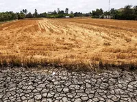 El Nino sẽ gây thiếu hụt mưa, hạn hán nhiều nơi trên cả nước