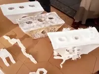 Nhà ở tương lai làm từ sợi nấm