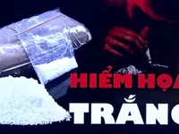 Nguồn cung cocaine bùng nổ trên toàn thế giới, Mỹ lo ngại nguy cơ từ ma túy mới Xylazine