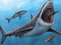 Cá mập khổng lồ Megalodon là loài máu nóng?