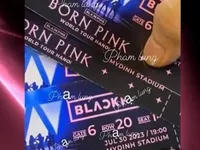 Cảnh báo lừa đảo qua việc mua bán vé biểu diễn của BLACKPINK tại Hà Nội