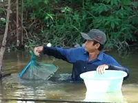 Cặp lá yêu thương: Rổ cá của ba