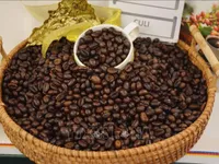 Vietnam’s coffee export value doubles in January