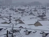 Tokyo gián đoạn giao thông vì tuyết rơi dày