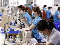 Vietnamese economy proceeding as predicted: experts