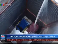 Ứng dụng công nghệ bảo quản cá ngừ sau thu hoạch