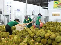 Agricultural product exports boom in first months of 2024