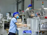 New and resuming enterprises up 8.5% in first two months of 2024