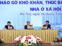 Prime Minister urges quick, effective development of social housing