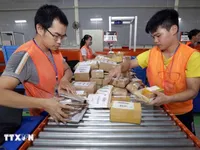 Vietnam expected to become e-commerce powerhouse in Southeast Asia