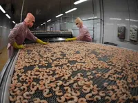 Shrimp producers, exporters earn big from deep processing