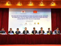 Unprecedented solutions provided for foreign firms in Vietnam: Official