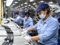 Foreign investment driven towards new breakthrough phase