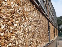 China becomes Vietnam's largest wood chip export market
