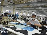 Foreign, domestic investment in Ba Ria - Vung Tau rises sharply