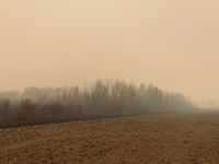 Cảnh báo về chất lượng không khí từ khói cháy rừng ở Canada