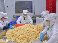 Dong Thap’s lotus root makes debut journey to Japan
