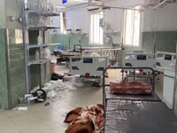Người dân Rafah bị nguy hiểm hơn khi Israel tấn công 2 bệnh viện của thành phố