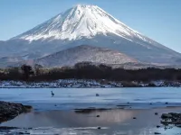 Nhật Bản lắp tấm chắn hạn chế khách chụp ảnh ở núi Phú Sĩ nhưng bị chọc thủng
