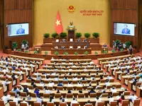 Law amending, supplementing articles of Law on Asset Auctions passed