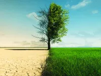 Ngày Môi trường Thế giới 2024: Phục hồi đất, chống hạn hán và sa mạc hóa