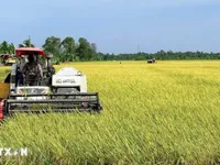 Vietnam seeks collaboration with Australia on sustainable agriculture