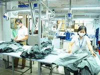 Domestic production sees green shoots