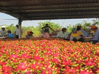 Fostering agricultural exports to the EU