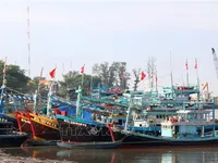 Binh Thuan ramps up efforts to combat IUU fishing
