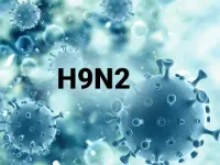 Bé trai 4 tuổi ở Ấn Độ nhiễm virus cúm gia cầm H9N2