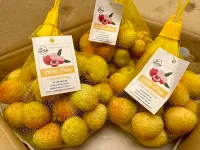 First batch of 2024 crop lychee reaches Paris