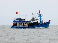 Ninh Binh eliminates all 'three-no' fishing vessels