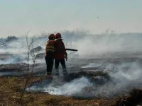 Brazil ban bố tình trạng khẩn cấp do cháy rừng ngoài tầm kiểm soát