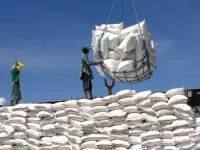 Gạo Việt 'rộng cửa' vào Philippines