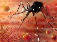 Ấn độ ghi nhận 2 ca nhiễm virus Zika