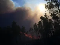 Hy Lạp chống chọi với hàng chục vụ cháy rừng