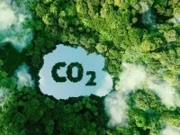 Có rừng là có tín chỉ carbon?