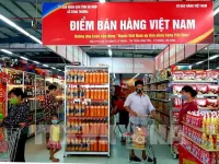 Vietnamese retailers racing to green up brands