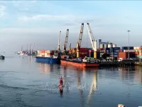 Southeast key economic region enjoys strong growth in exports