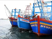Kien Giang pushing back illegal fishing