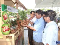 Conference promotes consumption of Thanh Ha lychees and key agricultural products of Hai Duong Province