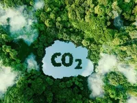 Ministry establishes monitoring framework for carbon market