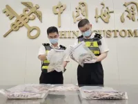Trung Quốc: Bắt kẻ buôn lậu hơn 100 con rắn sống được giấu trong quần