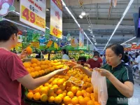 Hanoi launches programme to stabilise prices of essential goods in 2024