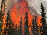 Cháy rừng ở tỉnh Alberta, chính quyền Canada ban hành lệnh hạn chế đốt lửa