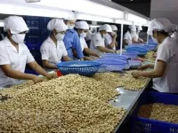 Vietnamese agricultural products, food expected for deeper engagement in global supply chain