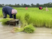 Thái Lan kêu gọi doanh nghiệp hỗ trợ nông dân