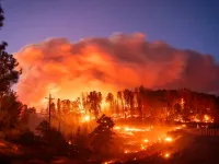 Hơn 4.000 người phải sơ tán vì cháy rừng ở bang California